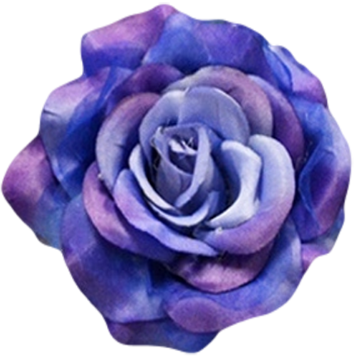 Royal Blue - Blue Rose (500x500)