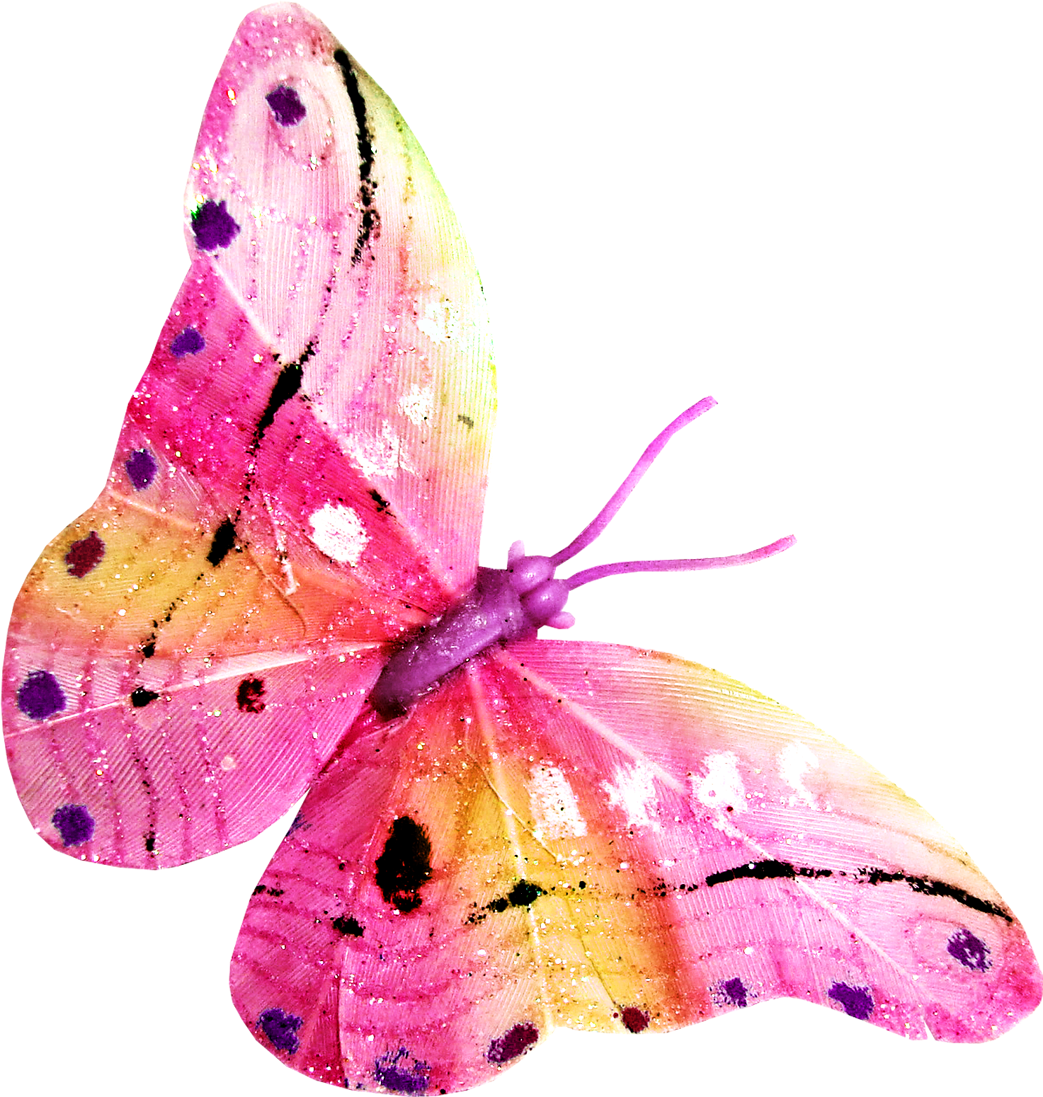 Rainbow Butterfly Clipart Papillon - Butterfly (1800x1800)