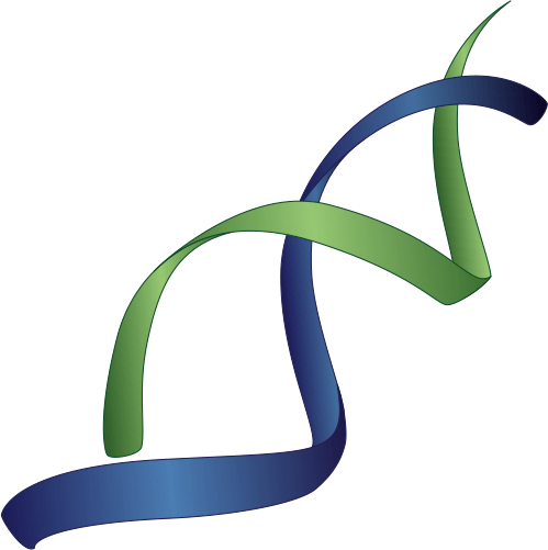 Double Helix Icon - Double Helix (499x501)