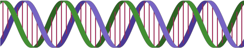 Enter Image Description Here Enter Image Description - Enter Image Description Here Enter Image Description (800x200)