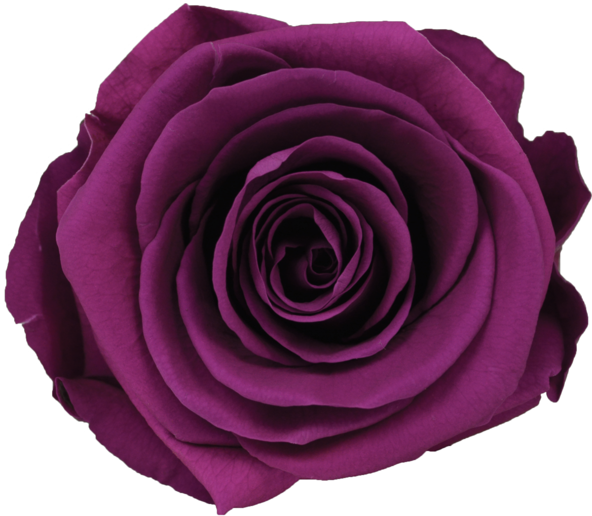 Glass Compote - 10 Rose - Four Roses (1200x1045)