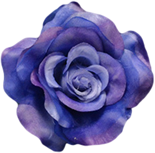 Navy Blue - Garden Roses (500x500)