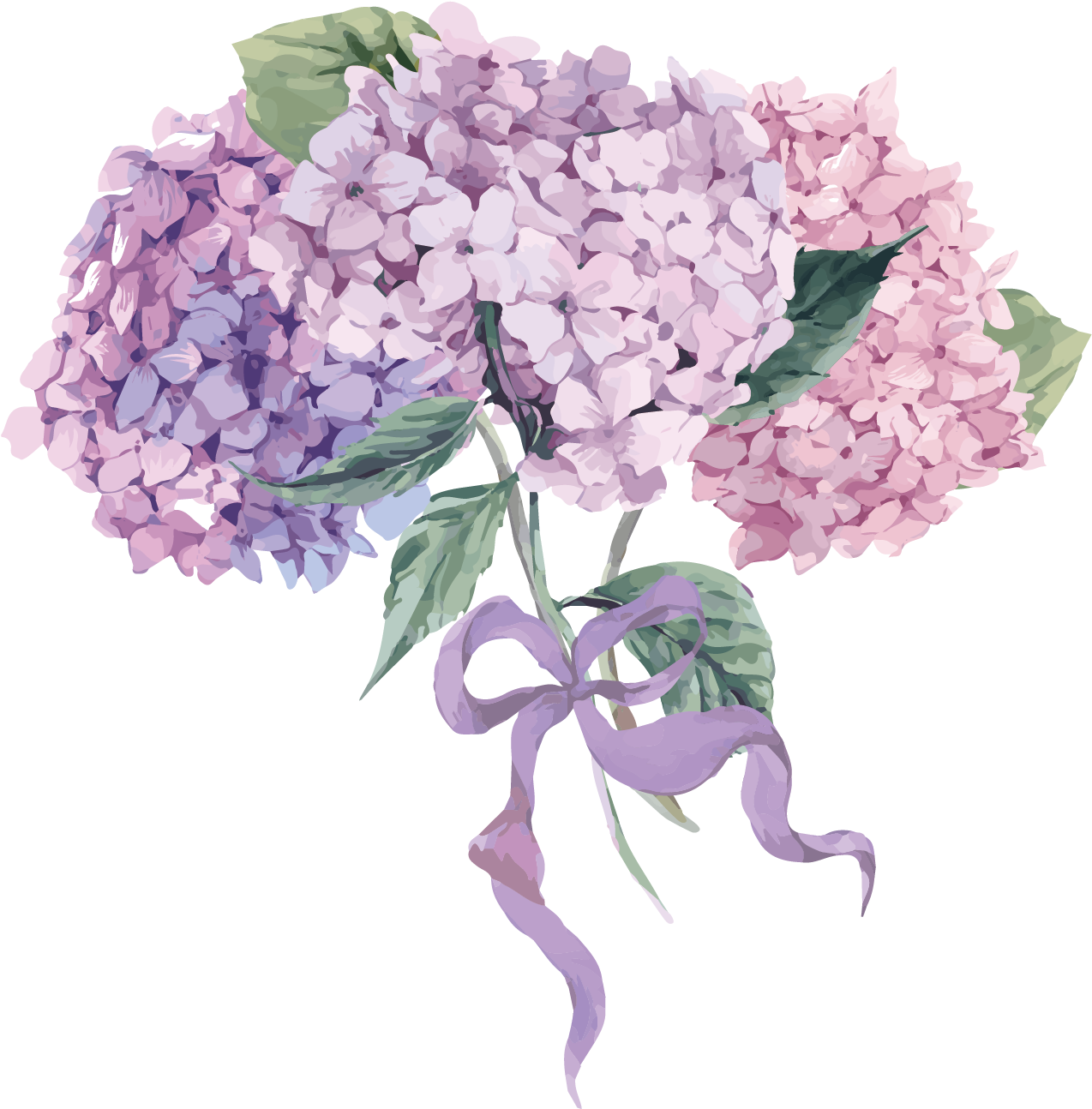 Flower Hydrangea Royalty Free Illustration - Hydrangea Vector Free (1654x1654)