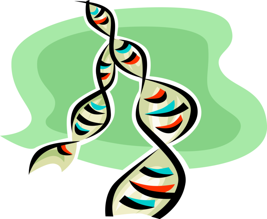 Vector Illustration Of Double Helix Dna Deoxyribonucleic - Graphic Design (855x700)