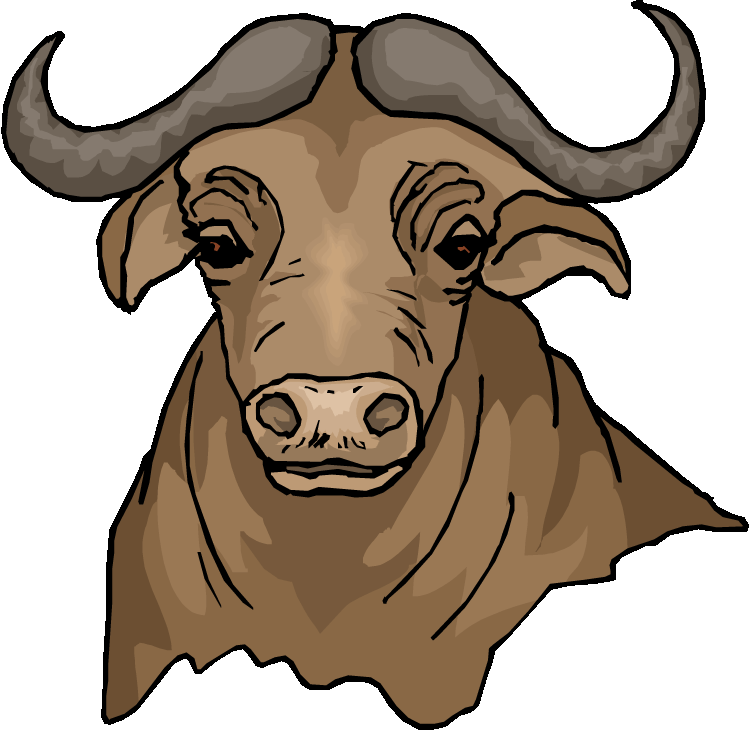 Free Buffalo Clipart Clipartix - Water Buffalo Clipart (750x731)