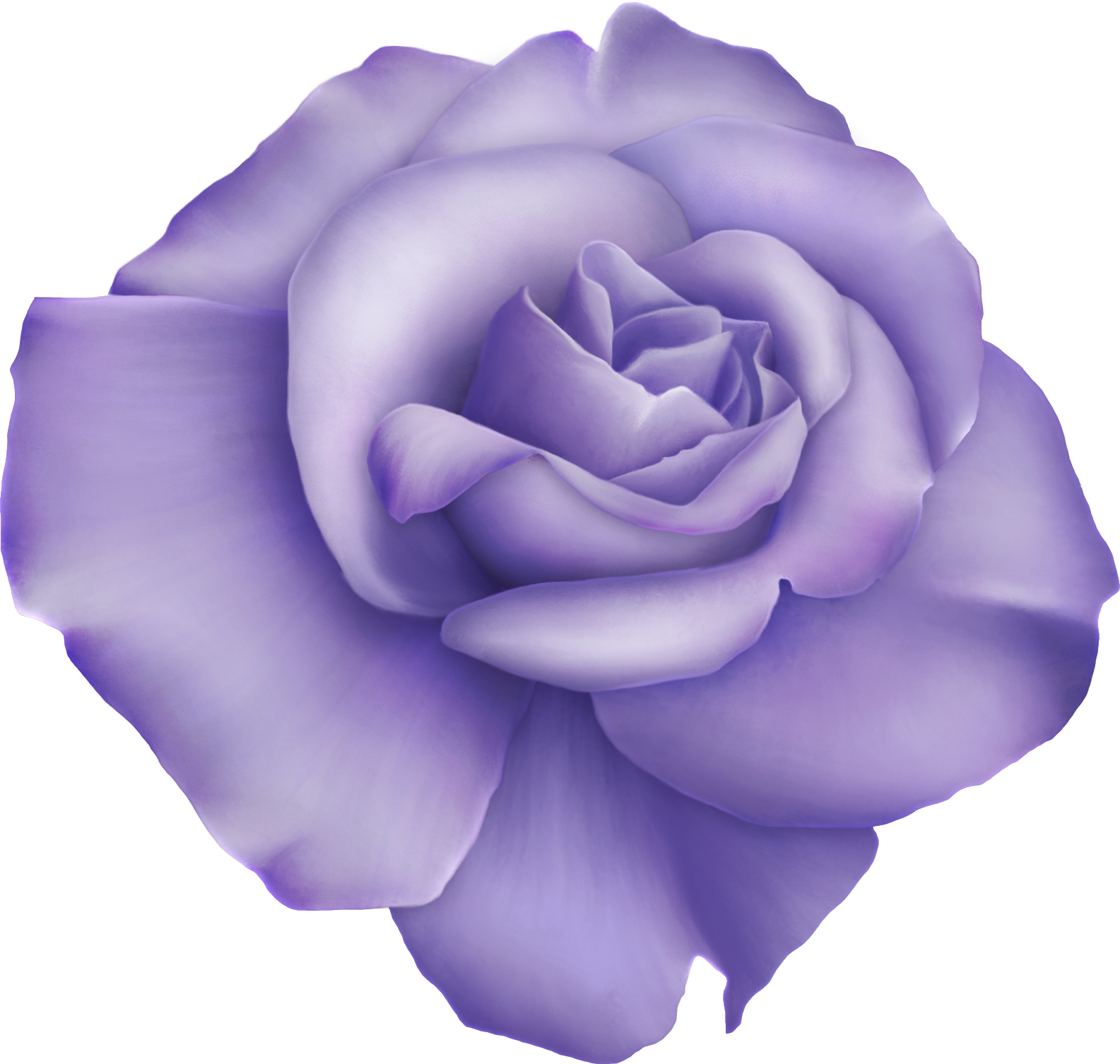 Garden Roses Digital Image Clip Art - Jaguarwoman Roses Decoupage Pngs (1585x1506)