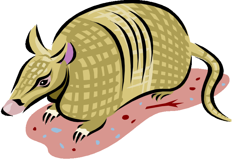 Yellow Armadillo Clipart - Clip Art Armadillo (750x519)