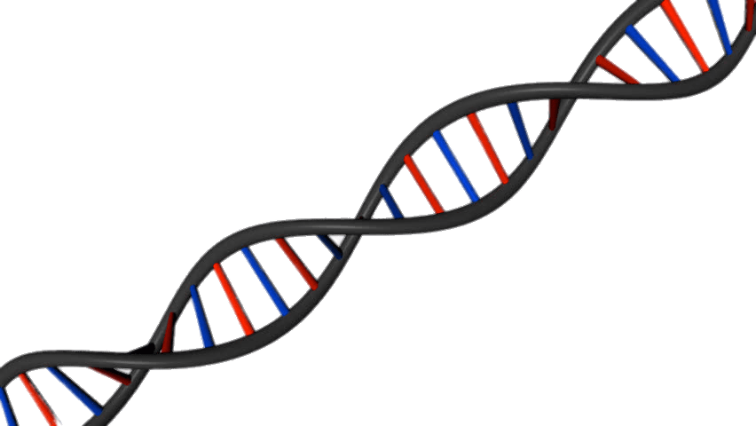 Dna String Diagonal Download In Png Format - Dna White Background (852x480)