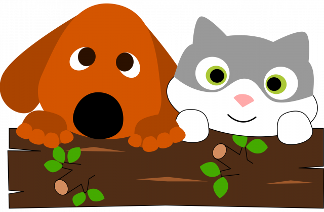 999999 - Dog And Cat Animated (640x420)