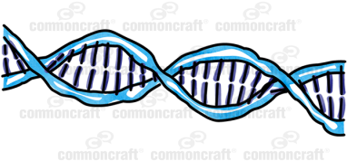 Dna Double Helix - Dna Double Helix (400x400)