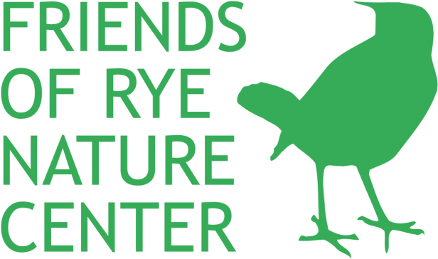 The Friends Of Rye Nature Center's Summer Day Camp - White Gloss Removable Paper Butt-cut Roll Labels ( (650x400)