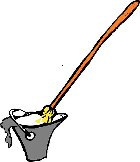 Mop Water, Drawing, Cartoon, Broom, Bucket, Cleaning, - Mop And Bucket (552x640)