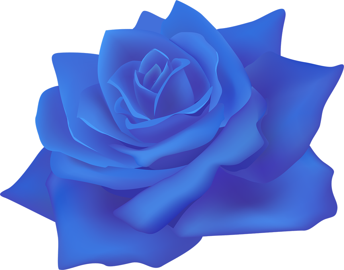 La Playa De Rosa Centifolia Rosas Flor De Papel Rosa - Rose (1200x942)