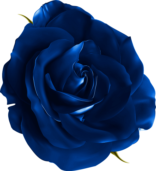 Publicat De Eu Ciresica La - Flowers Blue Realistic Png (650x711)