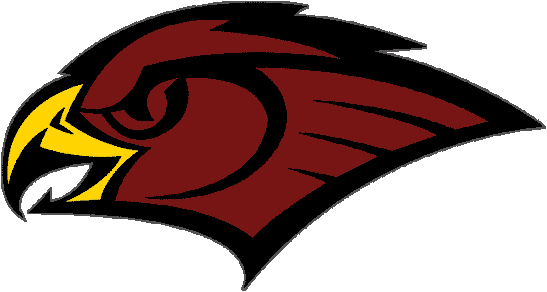 Black Hawks Logo - Atlanta Hawks Secondary Logo (547x292)
