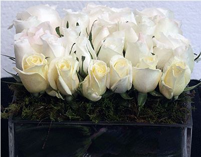 Arrangement White Roses Square Vase - Arrangement White Roses Square Vase (500x500)
