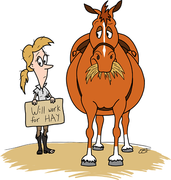 Bleed Area May Not Be Visible - New Forest Horses Funny (600x629)