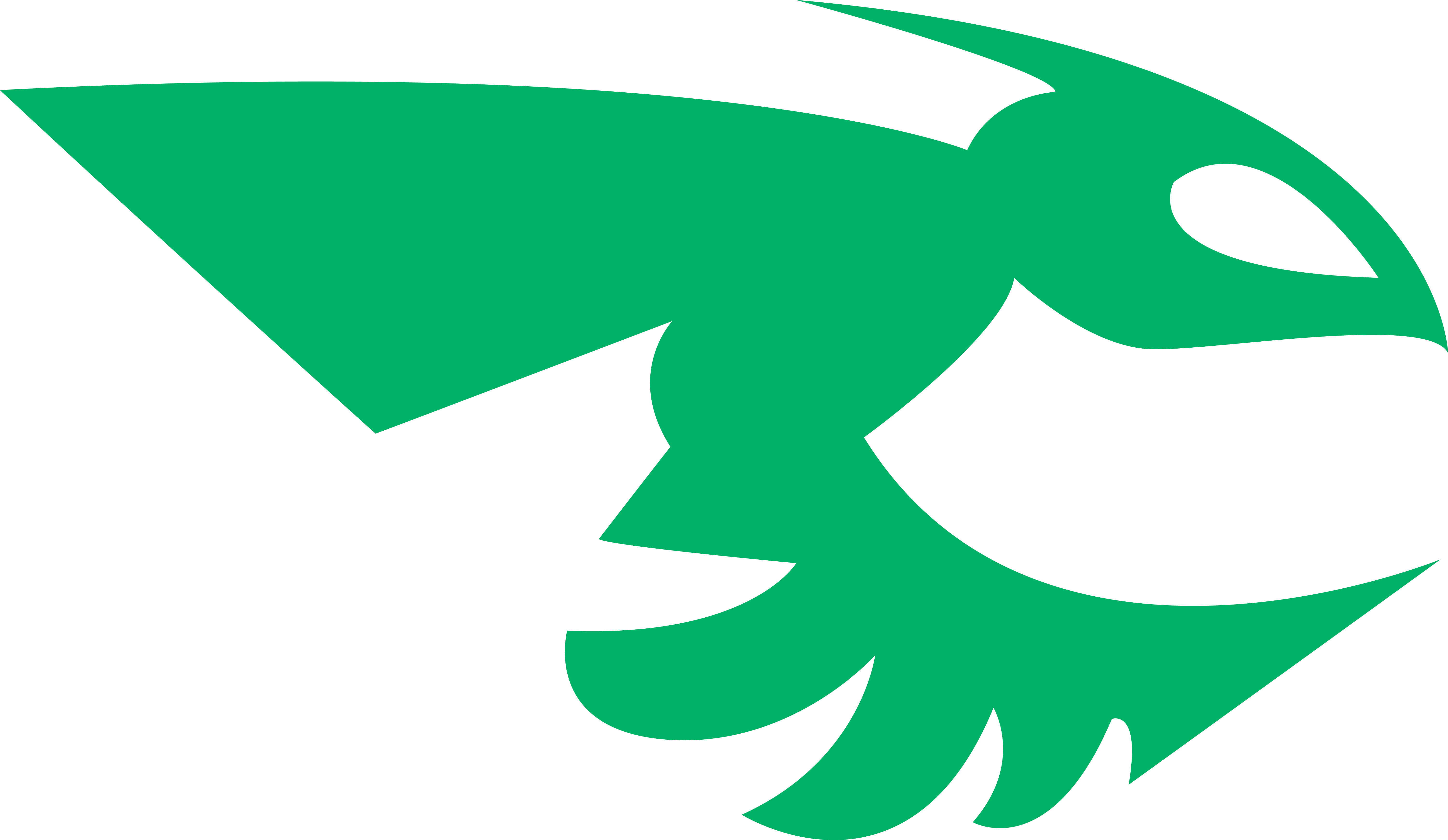 Effective Extermination Service - Pest Control (6000x3482)