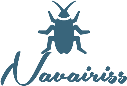 Keeping Fire Ants Away From Outdoor Lighting - Nasty Woman Greeting Cards (450x303)