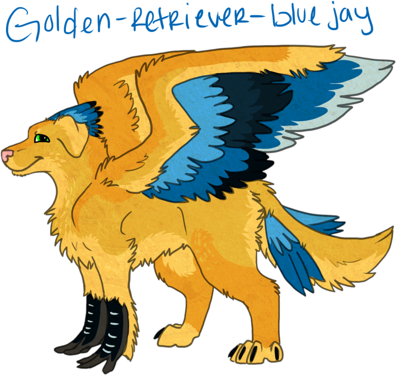 Golden Retriever-blue Jay By Acidraincloud - Companion Dog (900x824)