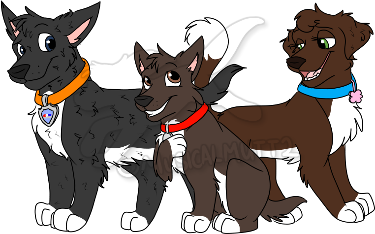 Dog Breed Puppy Canidae Mongrel - Kilobyte (900x600)