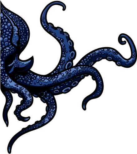 Call Us Crazy, But We At Blumania Believe That By 2016, - Octopus (448x620)