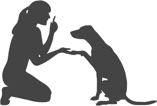 Training - Dog Training Vector (512x512)