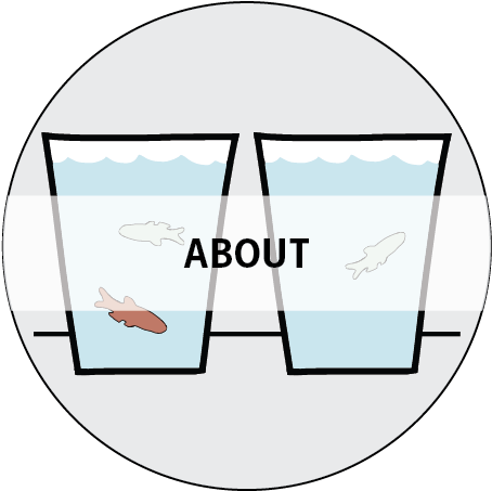Sinnhuber Aquatic Research Laboratory - Sinnhuber Aquatic Research Laboratory (468x452)