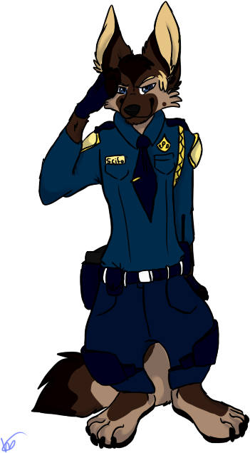 German Shepherd Dog Sexuality - Old German Shepherd Dog (400x650)