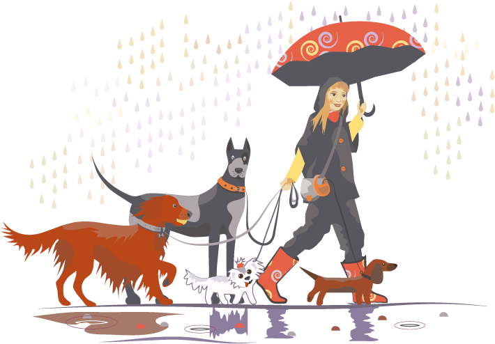 Lots More Videos Like The One Above Can Be Found On - Stock Dog Walker (800x600)