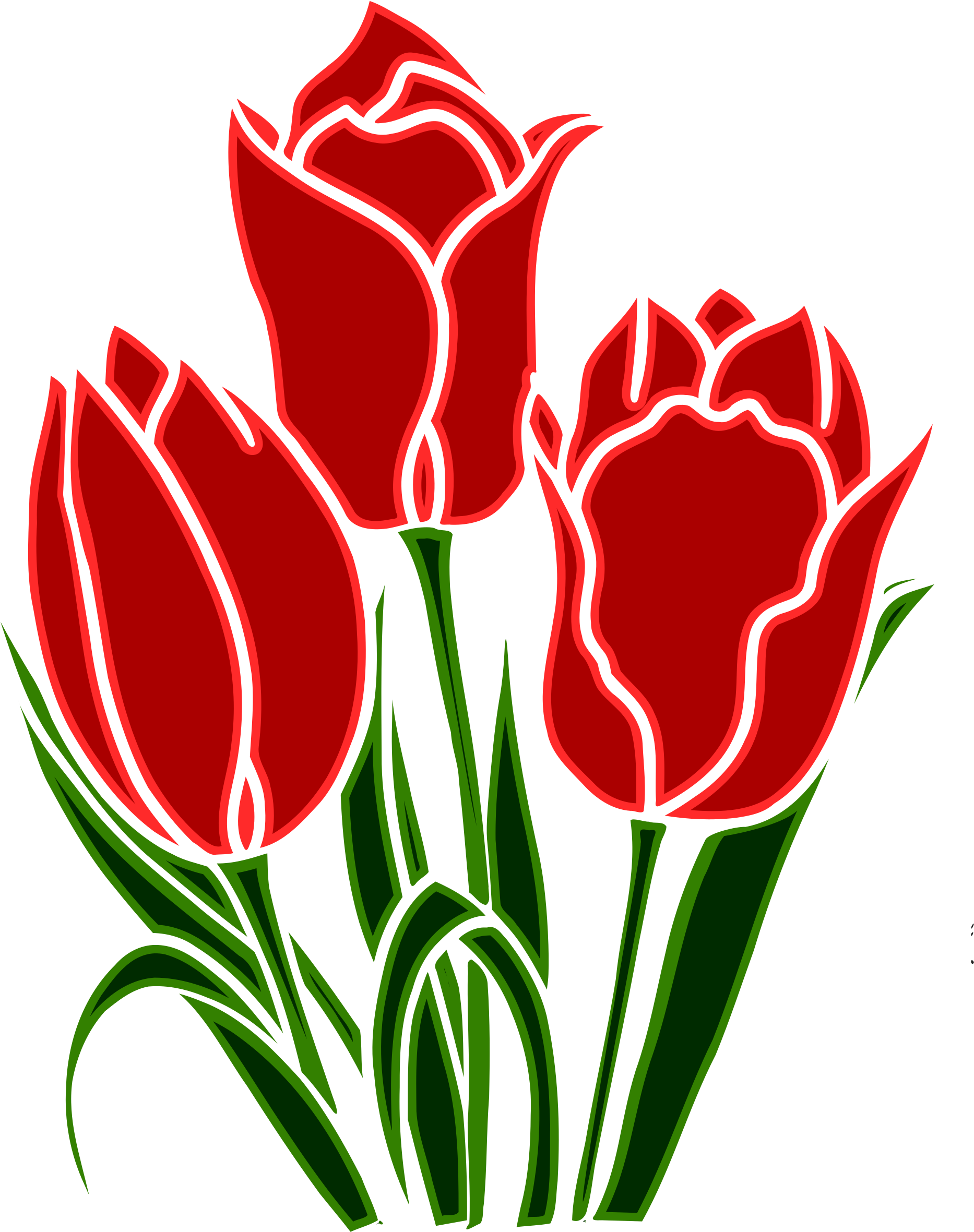 Tulip Clipart - Png Tulip (1909x2400)