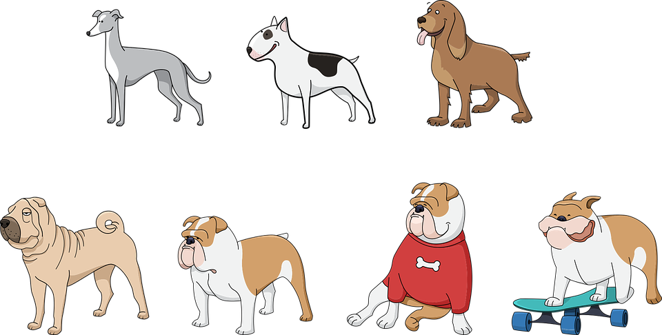 Dog Illustrations 17, Buy Clip Art - Dogs Vector (960x486)
