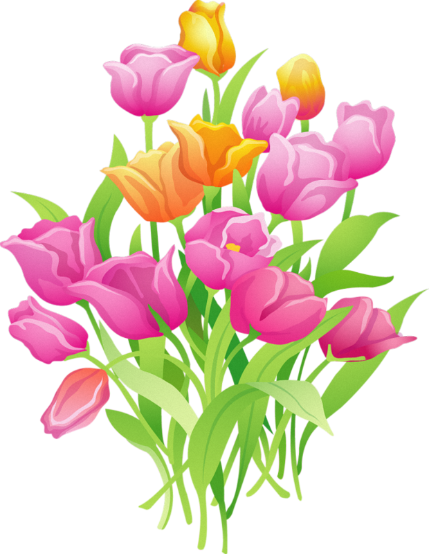 Flower Tulip Clip Art - Tulip Cartoon Png (620x800)
