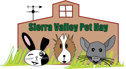 Rabbit Hay, Hay For Your Rabbit Or Other Small Pet, - Hay (481x265)