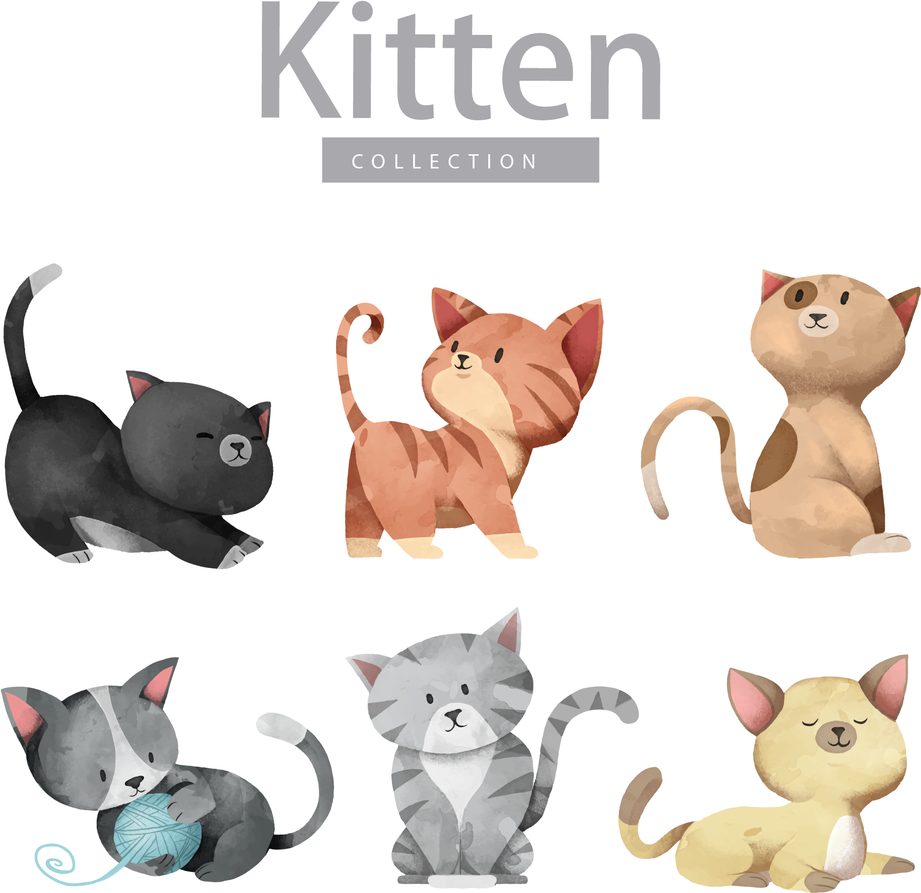Cat Dog Kitten Illustration - Cute Cat Vector (1874x1883)