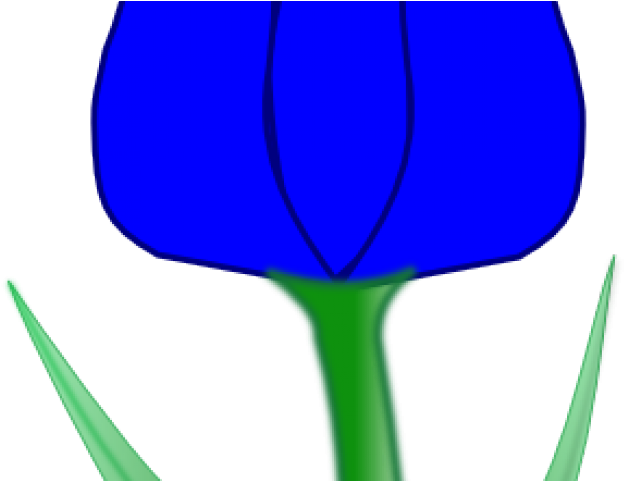 Tulip Clipart Large - Tulip Clipart Large (640x480)