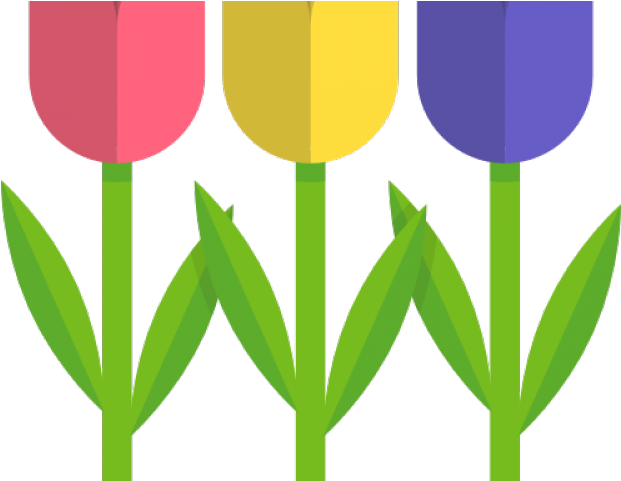 Tulip Clipart Nature - Tulip (640x480)