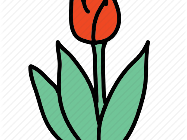 Tulip Clipart Icon - Dutch Tolip Clipart Png (640x480)