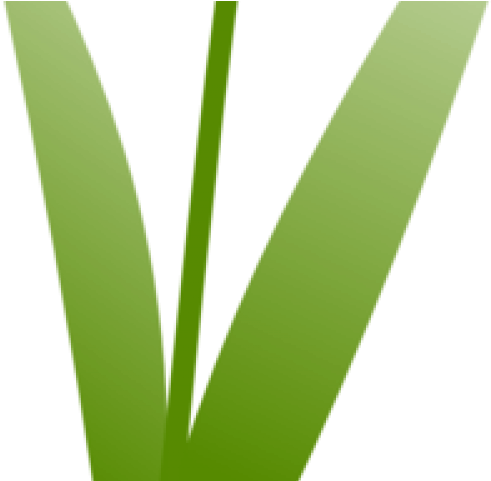 Tulip Clipart Royalty Free - Grass (640x480)