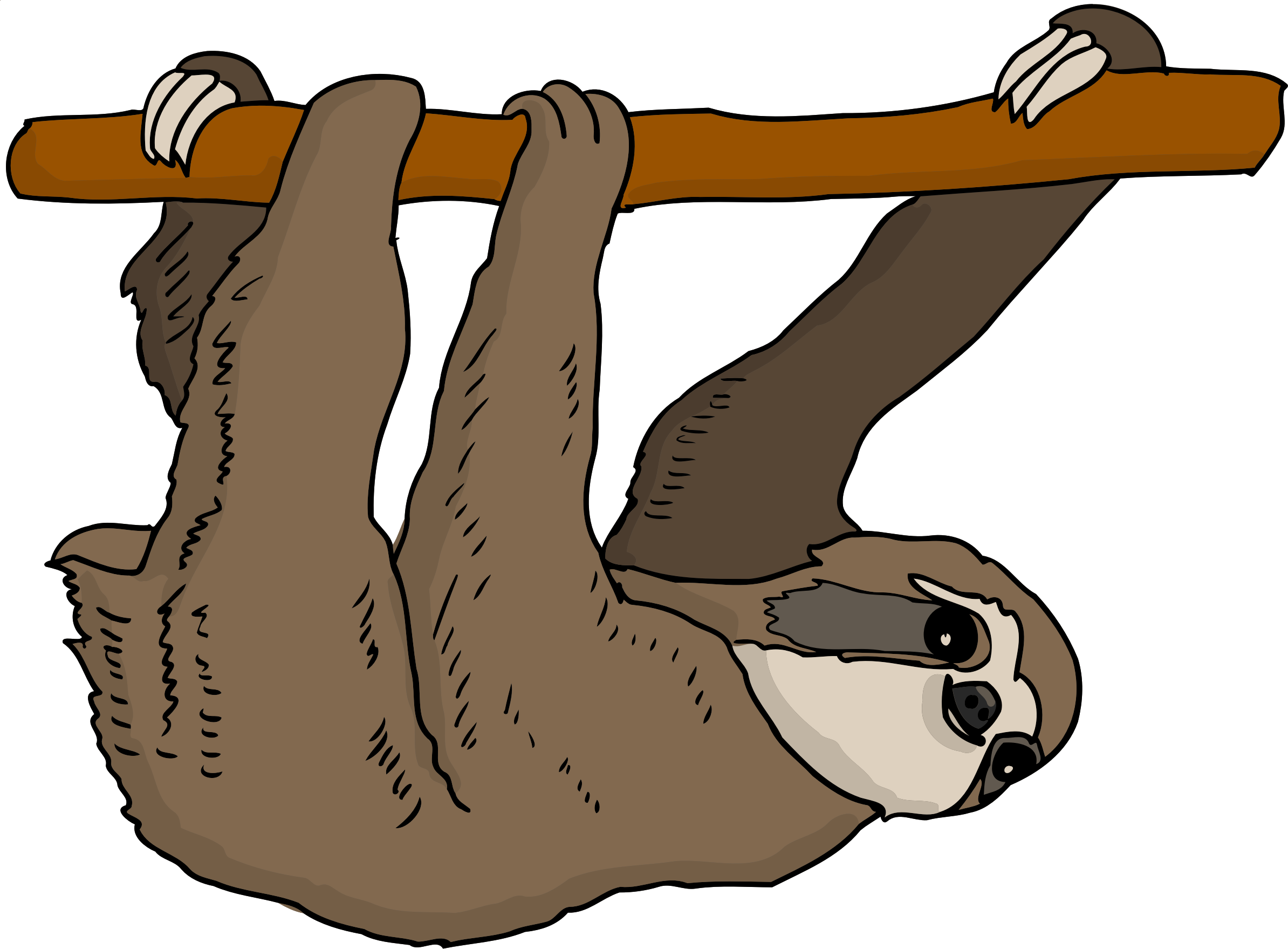 Black White Cute Cartoon Sloth Hanging Stock Photo - Sloth Clipart (1018x750)