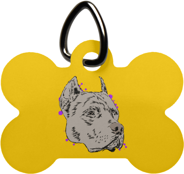 Pit Bull Dog Bone Pet Tag - Fotoprint: Pitbull In An Unusual Hat And Sunglasses. (600x600)