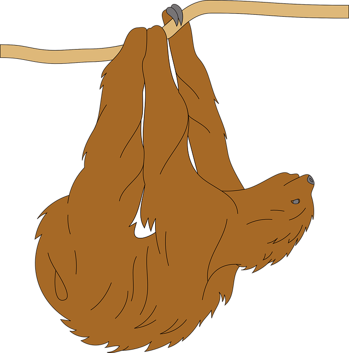 Kawaii Sloth Faces Digital Clip Art For Scrapbooking - Sloth Silhouette Png (711x720)