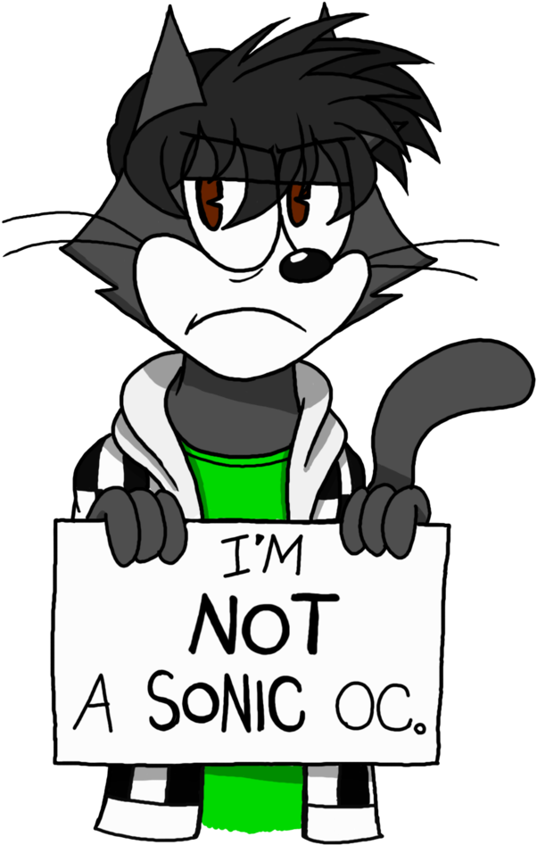 I'm Not A Sonic Oc By Ftftheadvancetoonist - Digital Art (751x1063)