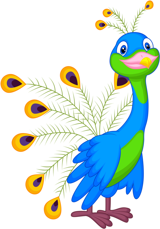 Яндекс - Фотки - Ugly Peacock Clipart (584x800)