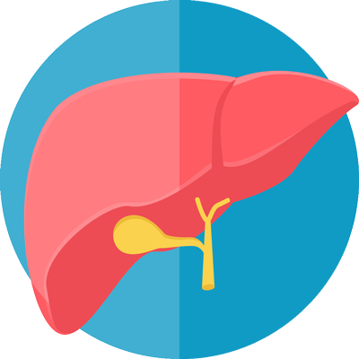 Gallbladder And Liver Surgery - Gallbladder And Liver Surgery (400x400)