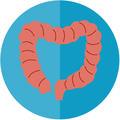 Large Bowel Surgery - Wreath (400x400)