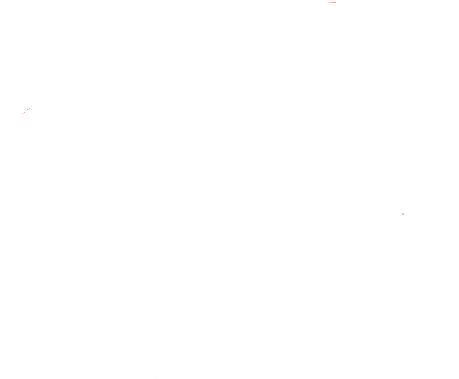 Buy Raleigh Bike Now - Bicycle (550x399)