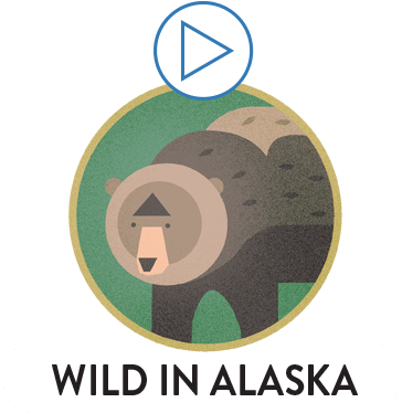 Alaskan Wildlife - Deutscher Fussball Bund (375x375)