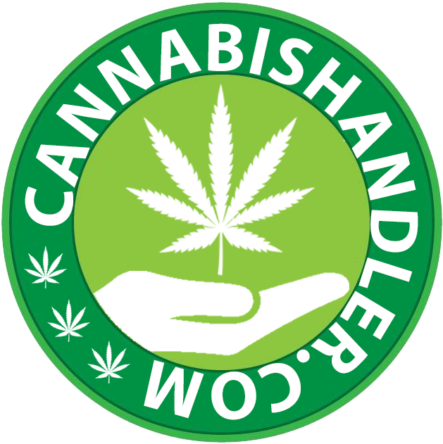 Get Started Now - Mountlake Terrace High School Logo (638x638)