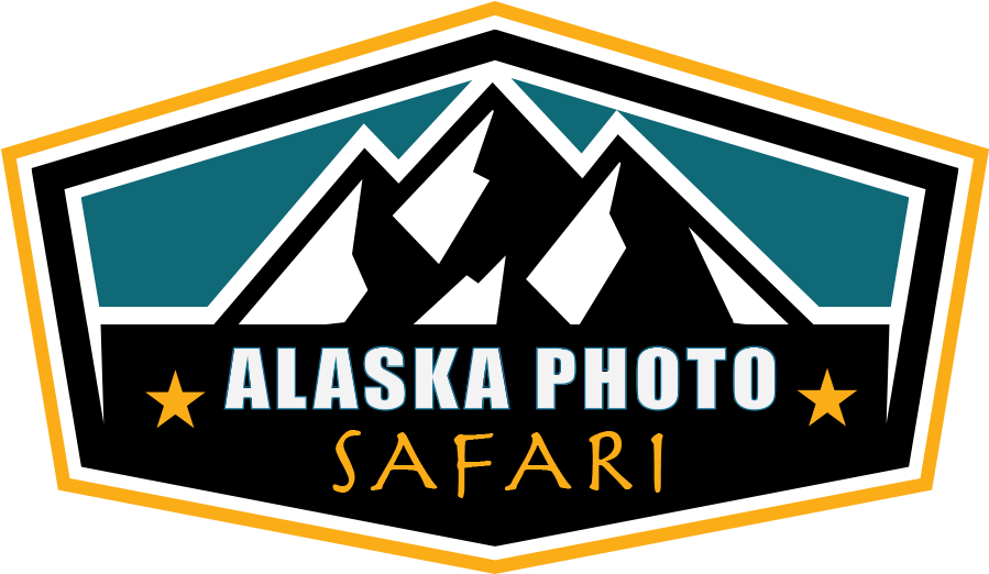 Alaska Fishing Lodge In The Heart Of Prince William - Jasper Red Bear Ornament (round) (912x541)